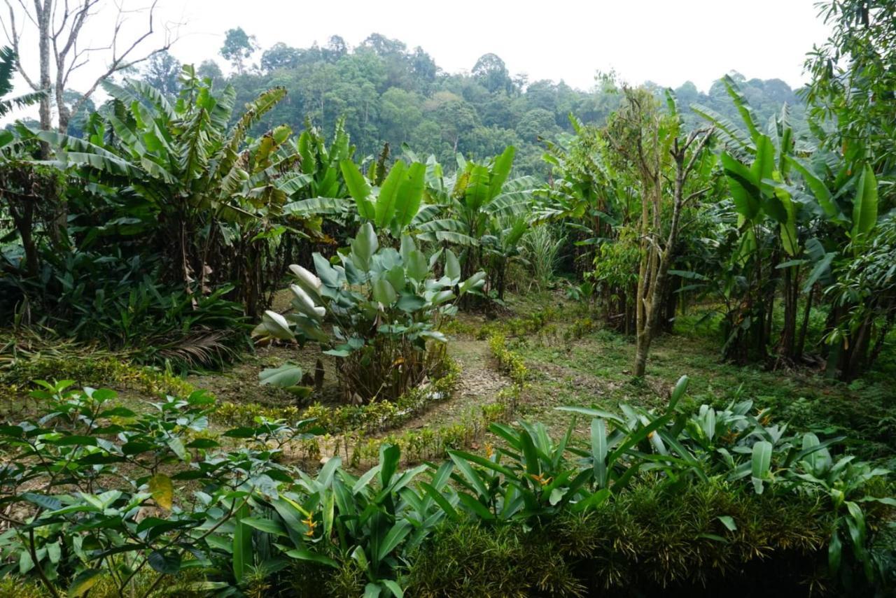 Eco-Logic, Resort For Charity Phato 外观 照片